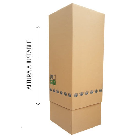 CAJA TELESCOPICA 1 principal