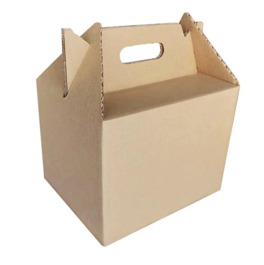 Lonchera de cartón BOX LUNCH